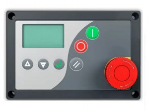 P-1